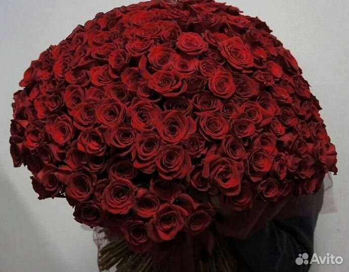 Розы высокие Доставка цветов