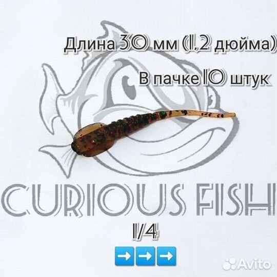 Curious Fish Golovastik 1,2 дюйма (30мм)