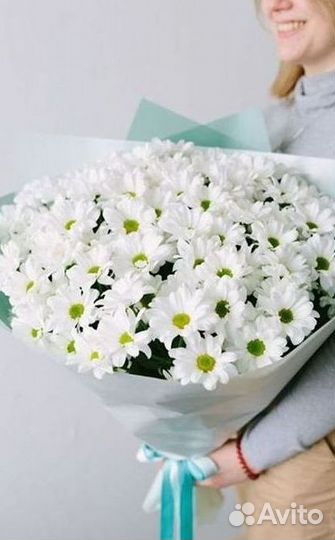 Хризантема Доставка цветов