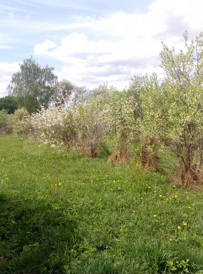 Участок 32 сот. (СНТ, ДНП)