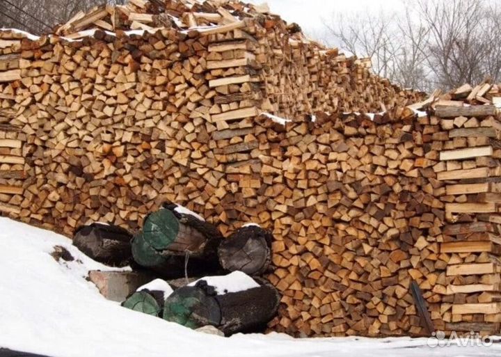 Дрова свежайшие