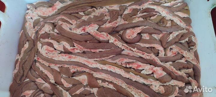 Корм для собак