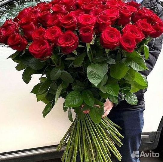 Розы Высокие 150см 160см 170см 180см 190см 2м