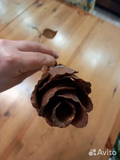 Железная роза