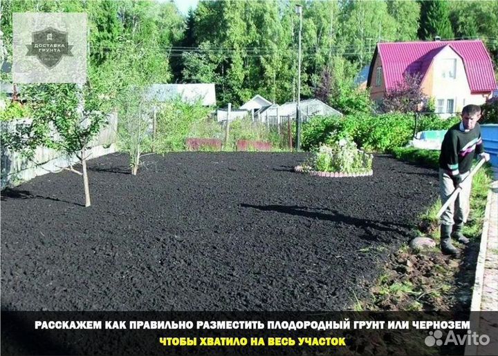 Перегной чернозем грунт