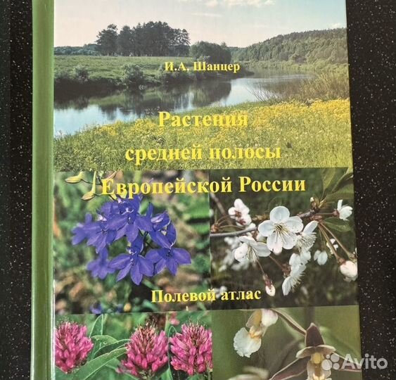 Новые книги, атласы: растения, травы, грибы