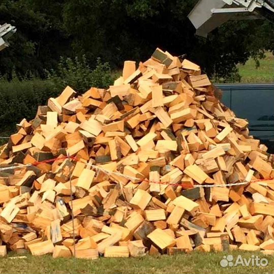 Дрова свежие