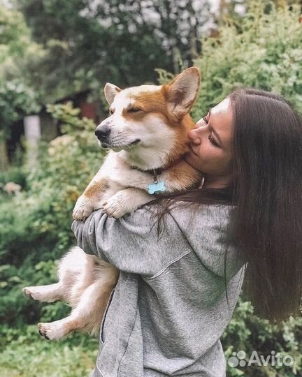 Кинолог. Химки-Москва