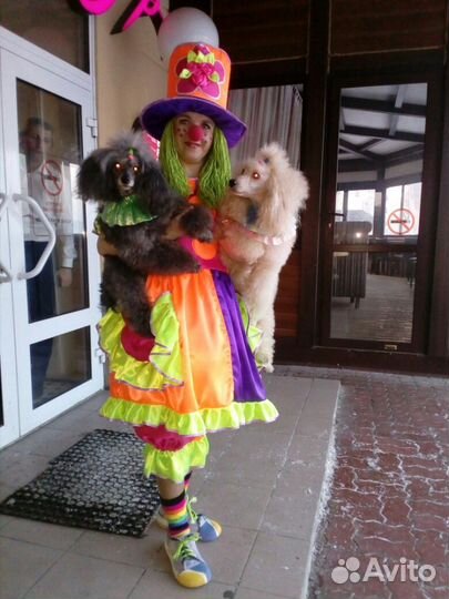 Цирковые артисты и дрессированные животные