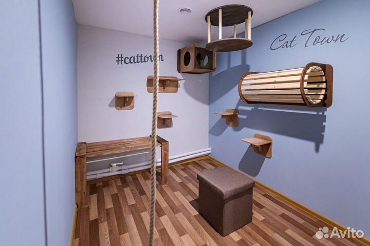 Зоогостиница для кошек