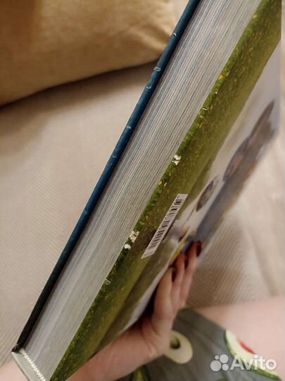 Энциклопедия для детей