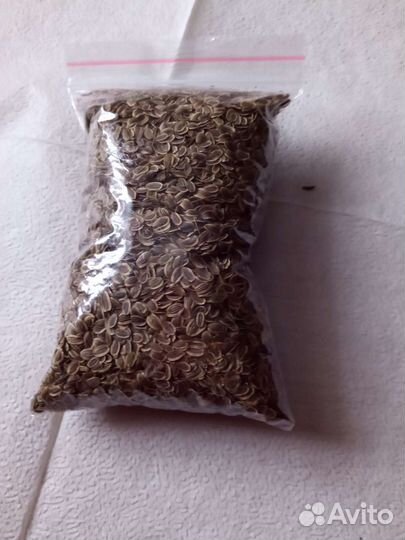 Семена укропа