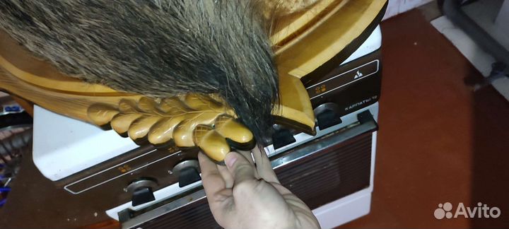 Чучело головы кабана