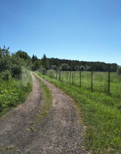 Участок 10 сот. (СНТ, ДНП)