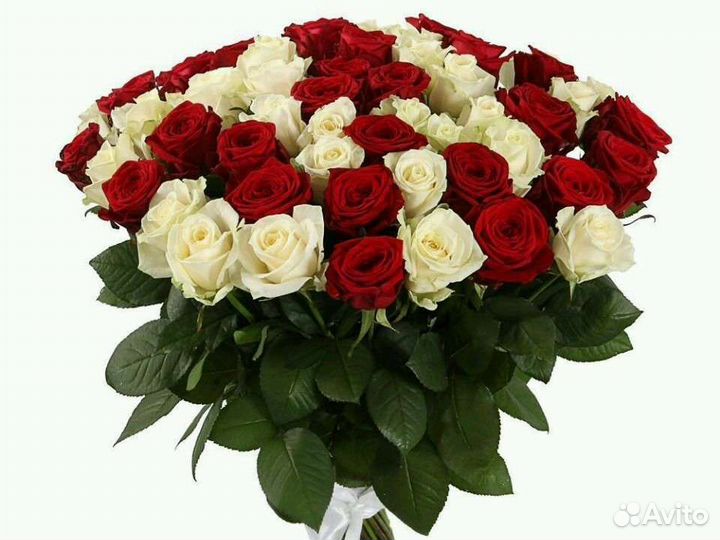 Цветы, Букет из 11/15/25/51/101 розы, доставка