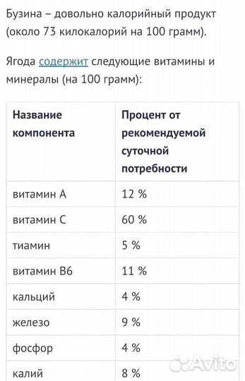 Бузина черная