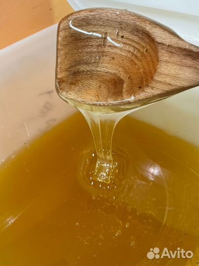 Настоящий мед