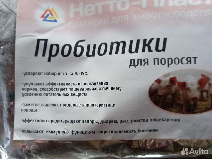 Пробиотики для поросят