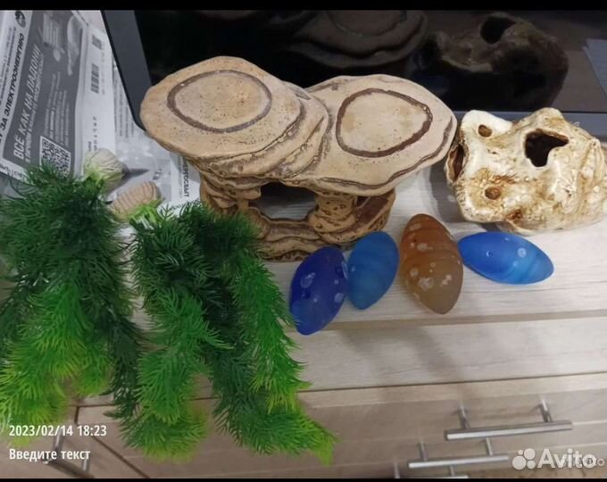 Аквариум и декорации