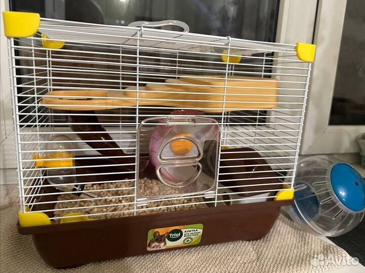Хомяк с клеткой