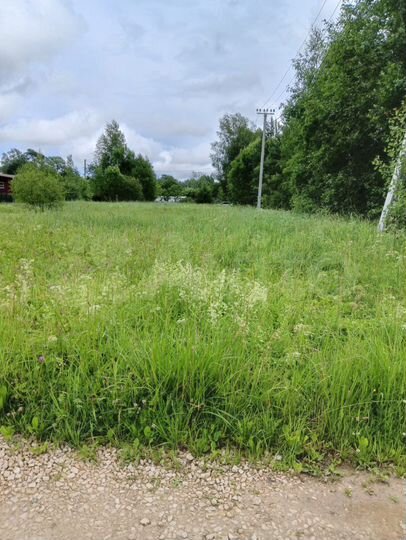 Участок 20 сот. (СНТ, ДНП)