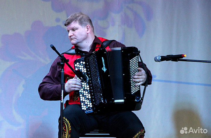 Баянист, гармонист на праздник