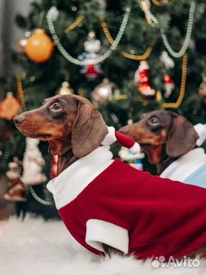Новогодний костюм для собаки