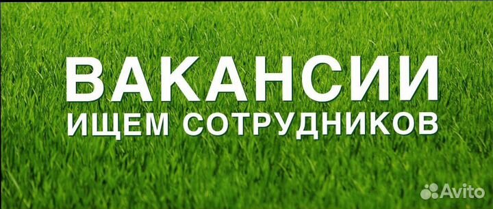 Разнорабочий в цех