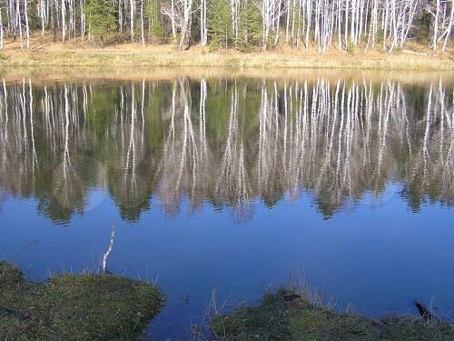 Участок 12 сот. (СНТ, ДНП)