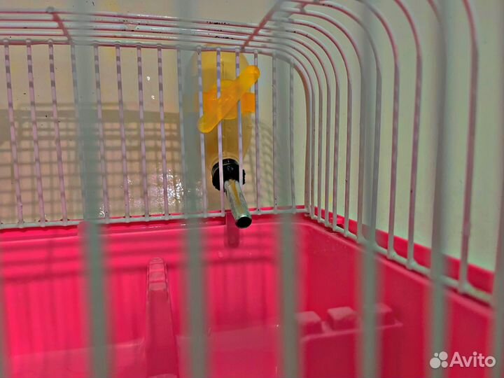 Клетка для хомяка