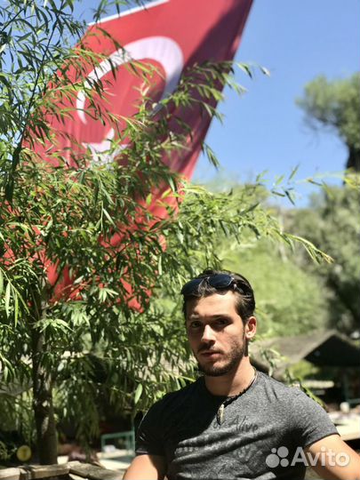 Онлайн репетитор по Турецкому языку