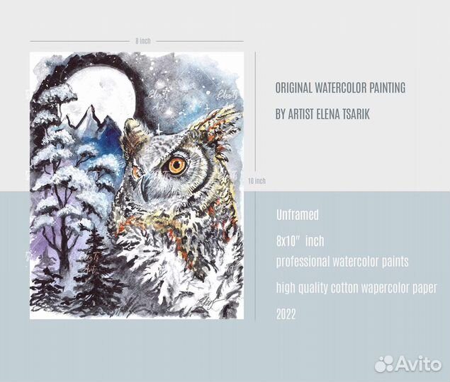Картина акварелью Сова