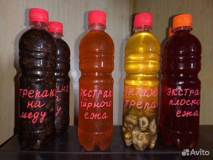 Трепанг на меду