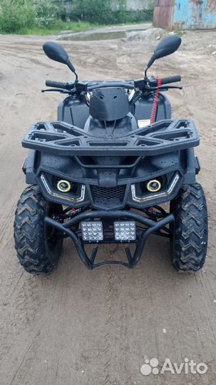 Avantis Hunter 200 Big (2022 г.)