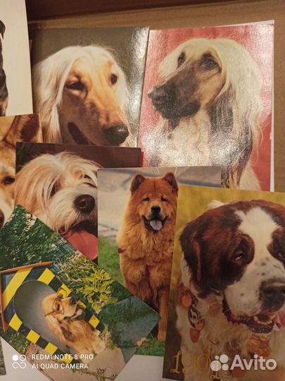 Карманные календари 40 штук кошки собаки