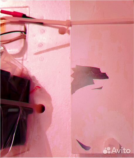 Инкубатор с гарантией