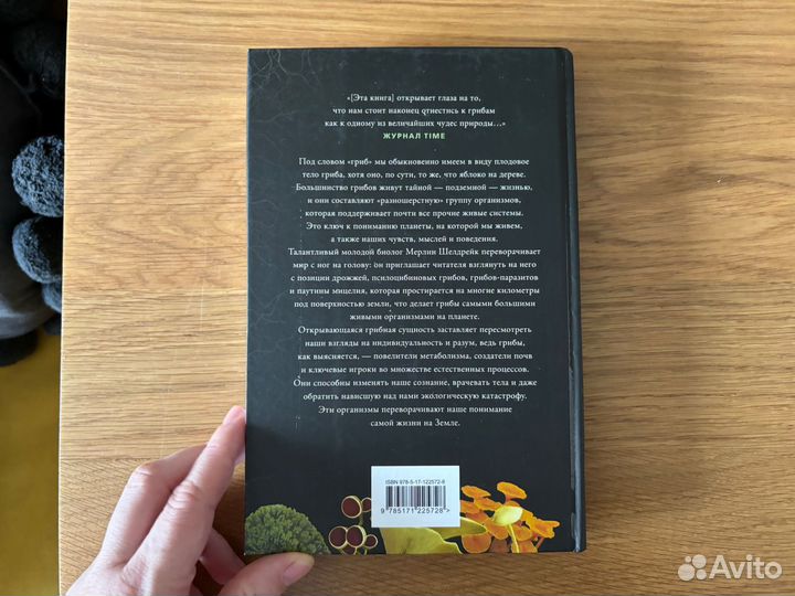 Книга Запутанная жизнь Мерлин Шелдрейк