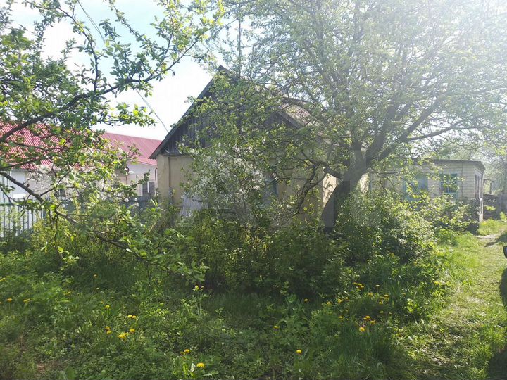 Дом 64 м² на участке 50 сот.