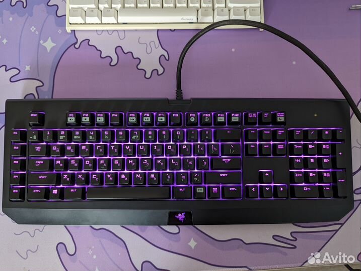 Razer blackwidow chroma RGB