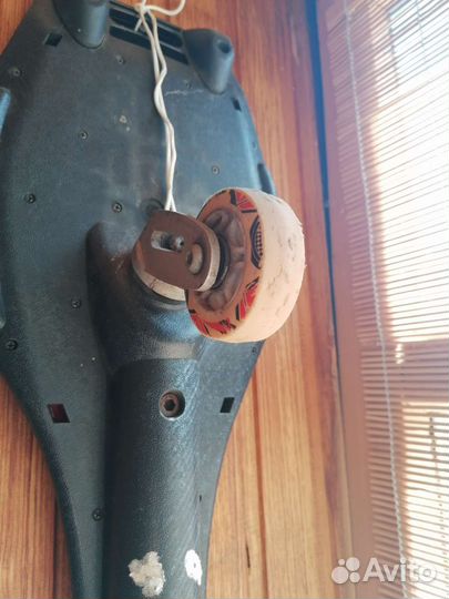 Скейтборд, роллерсерф