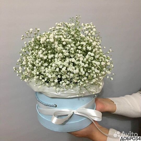 Цветы гипсофила