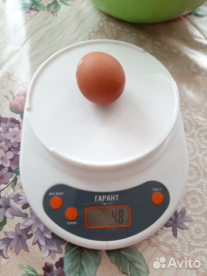 Домашние куриные яйца