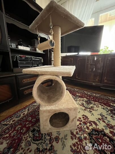 Когтеточка