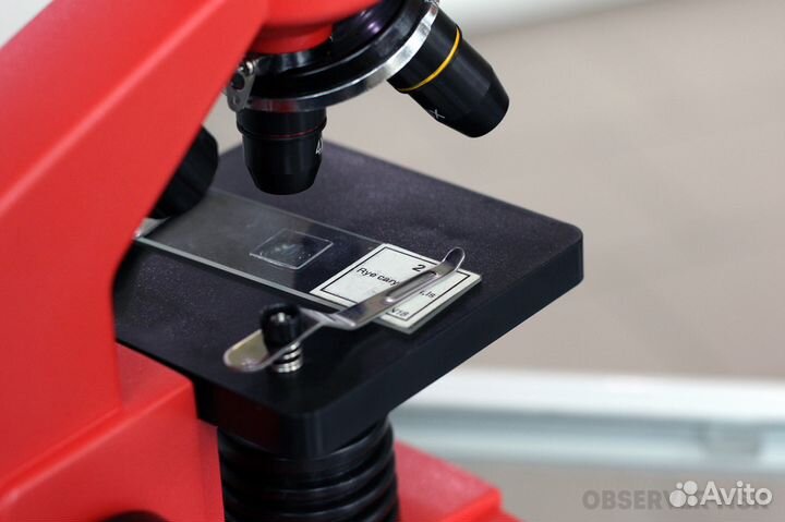 Микроскоп Levenhuk Rainbow 2L