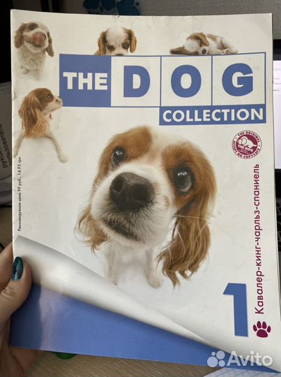Журнал the dog collection