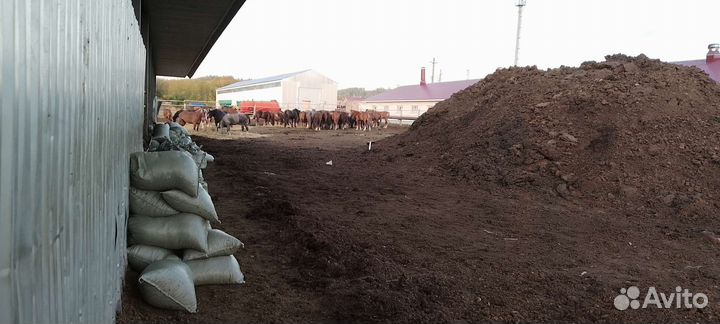 Перегной конский в мешках
