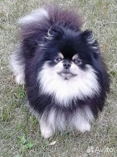 Красивый мальчик