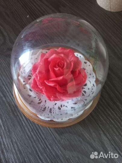 Цветок в куполе