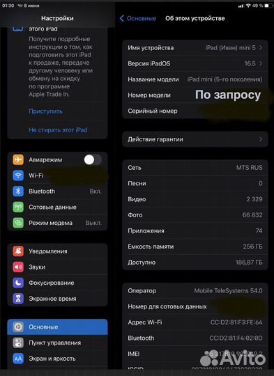 iPad mini 5 256gb cellular