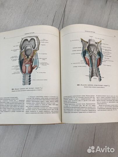 Атлас анатомии человека Том 2 Синельников